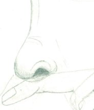 Drawing of a Sneeze